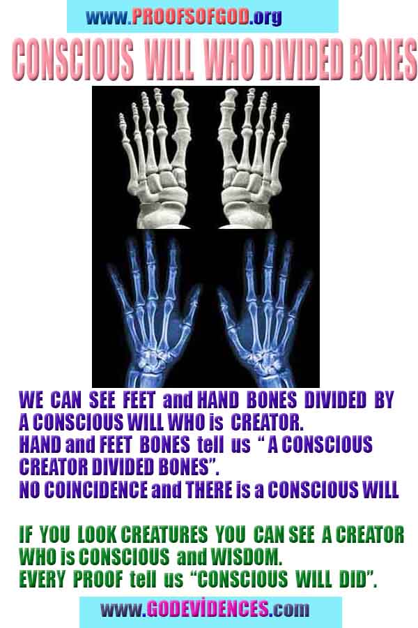 proofs of god, evidences of god, signs of god, god-proofs, proofs-god